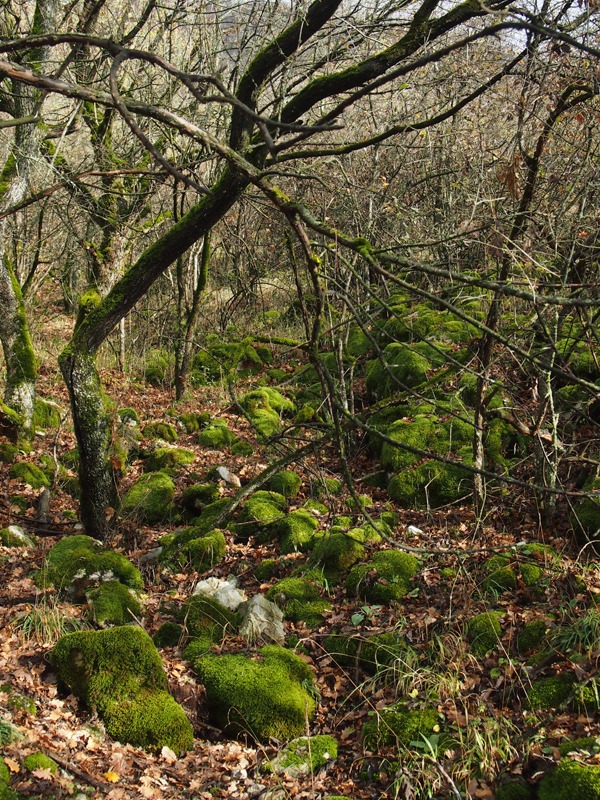 Krajina Slovenského krasu má v každém ročním období svoje půvaby foto: Chmel