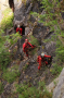 Tým druhé skupiny vyvazuje traverz k malé jeskyňce na úrovni 3. patra štol lomů Mexiko na Americe foto (c) Pavel Kubálek