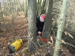 Za stromečky se ukrývá DrKozel, který na závěr demontuje lana...foto (c) Líza