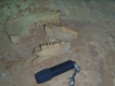 Zbytky čelisti, nalezené v jedné z chodeb Chun Che Chen 