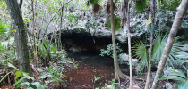 Mexico, cenotes, vstup do podzemí foto (c) Speleoaquanaut 2022